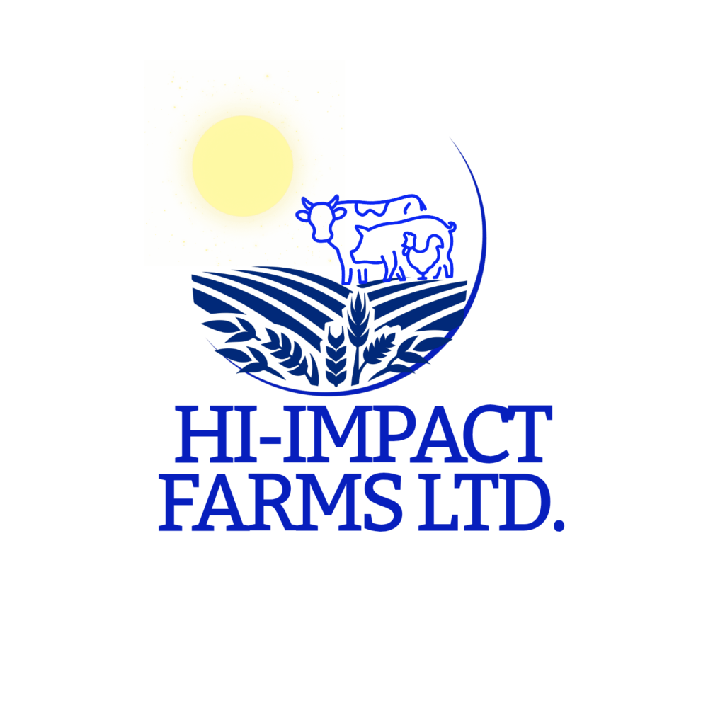 Home nnÉ foods & konsult ltd. 20251231 094428 0000 (1)