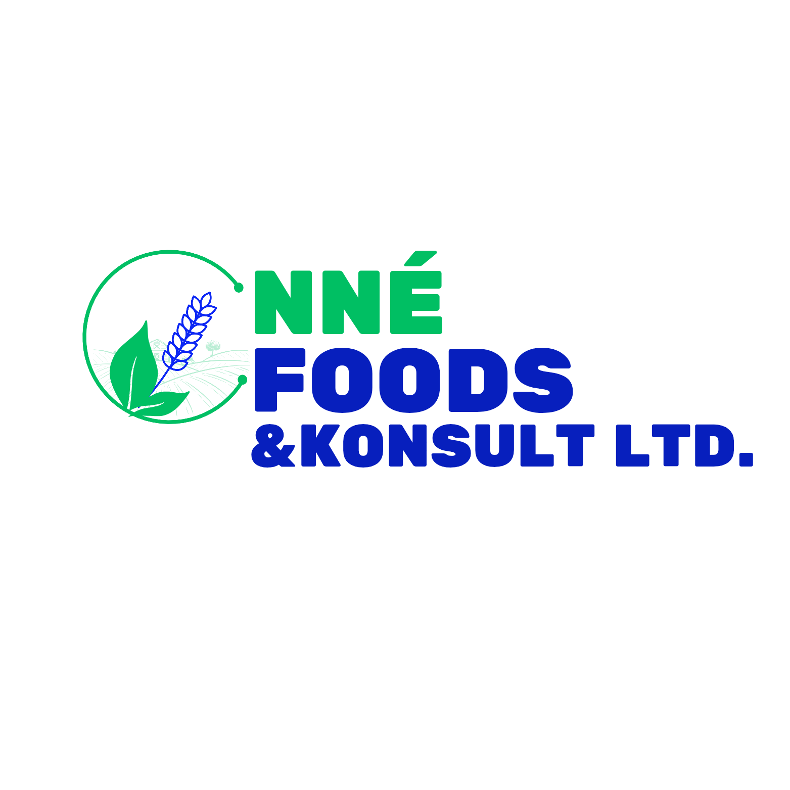 nnÉ foods & konsult ltd. 20251231 094428 0001